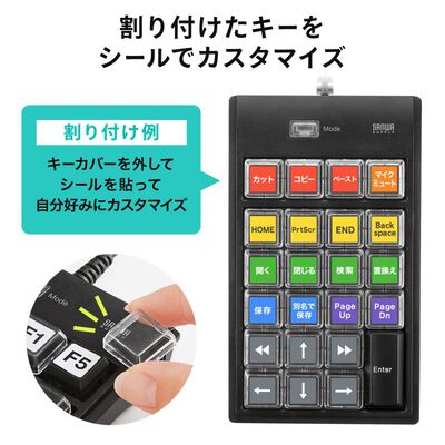 サンワサプライ  NT-19UH2BKN2 (プログラマブルテンキー) 