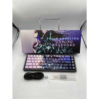 【座間相武台】中古  ゲーミングキーボード(ラピッドトリガー対応) 俺だけレベルアップな件&times;AMICIS「65HE」(英語配列) ［有線 /英語配列 /磁気スイッチ］ 4510002848 