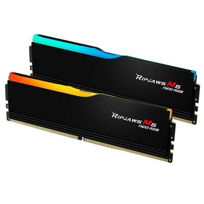 G.SKILL  F5-6000J3636F16GX2-RM5NRK (DDR5 PC5-48000 16GB 2枚組) 