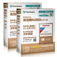 TOSHIBA  N302A22-HDWG62CUZSVA (22TB 2台セット) 