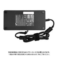 THIRDWAVE  230W ACアダプター 