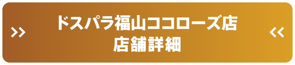 ドスパラ福山ココローズ店 店舗詳細