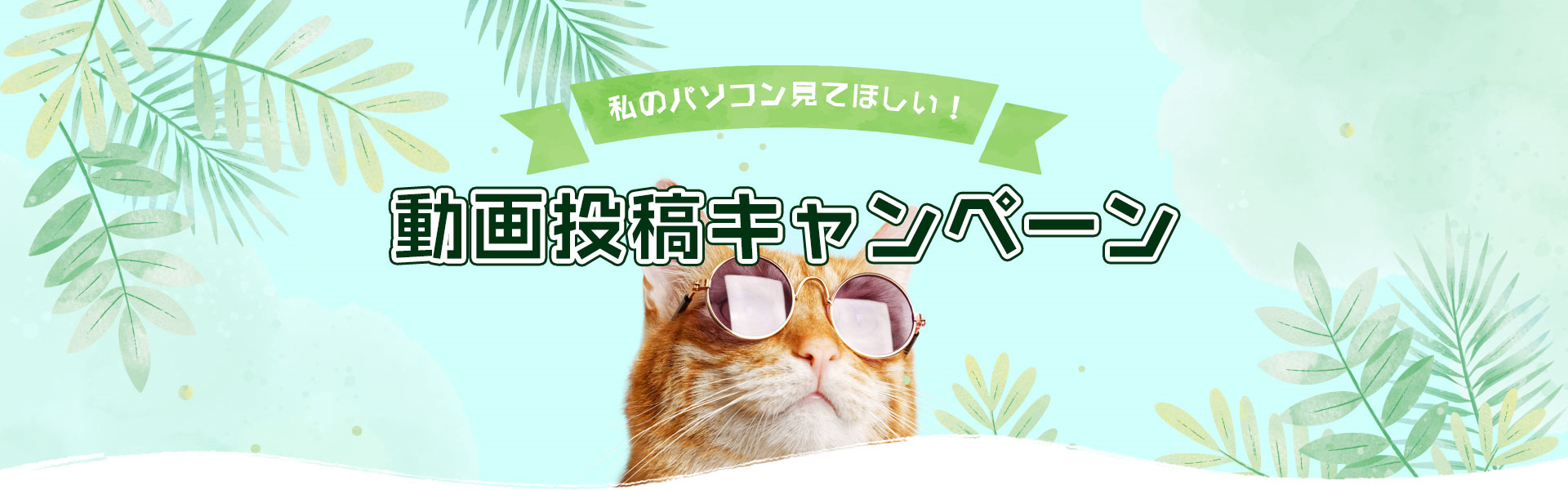 私のパソコン見てほしい!YouTube動画投稿キャンペーン