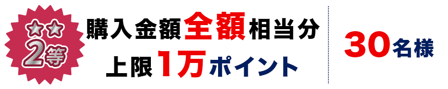 2等:購入金額全額相当分 上限1万ポイント 30名様