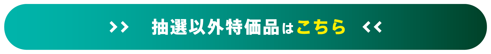 抽選以外特価品はこちら