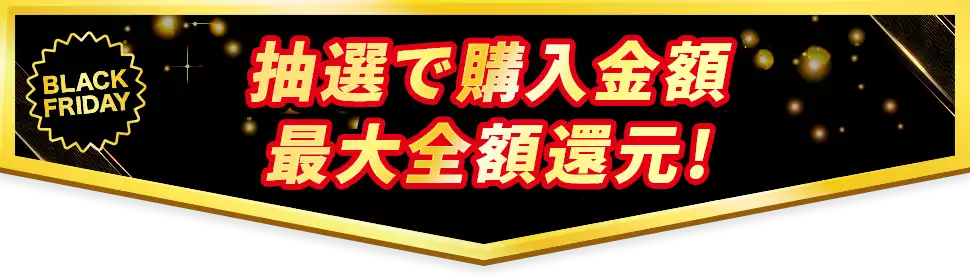 抽選で購入金額最大全額還元!