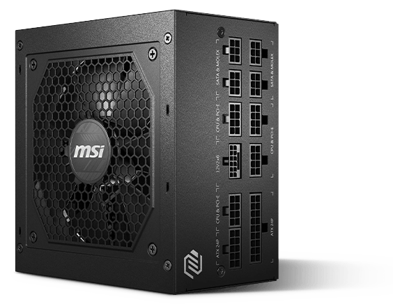 MSI MAG A850GL PCIE5 (850W)_必要最小限