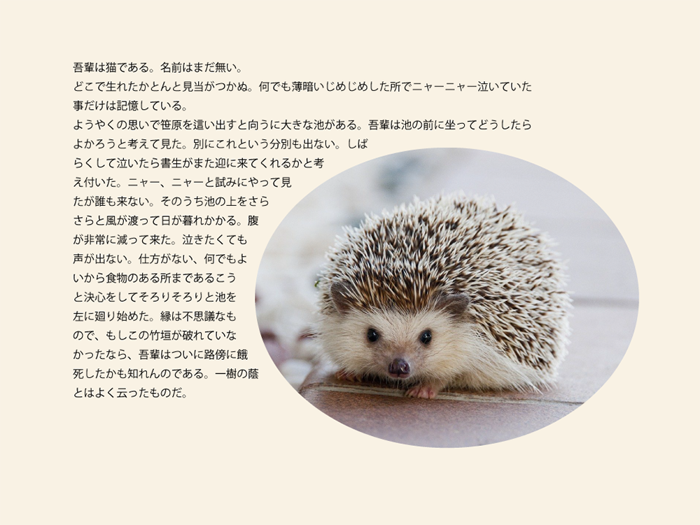 Illustrator(イラストレーター)はイラストや図形、文字(文章)を自由にレイアウトできます。