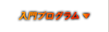 入門プログラム