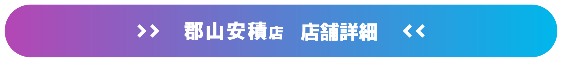 ドスパラ郡山安積店 店舗詳細