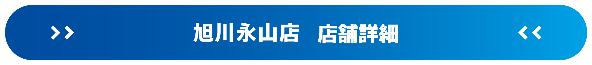 ドスパラ旭川永山店 店舗詳細