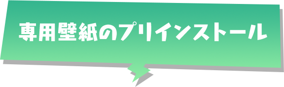 専用壁紙のプリインストール