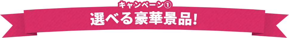 キャンペーン1・選べる豪華景品!