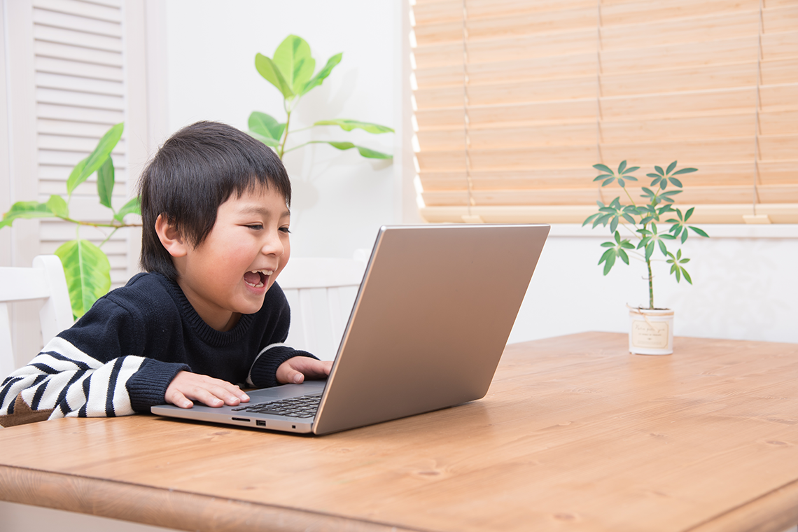 家庭用・インターネット利用や動画視聴