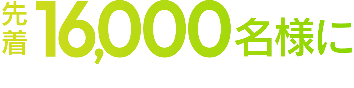 先着16,000名様にオリジナルUSBメモリがついてくる！