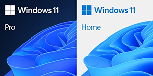 DSP版 Windows 11