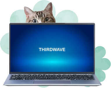 パソコン×猫