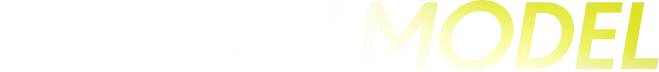 DISPLAY MODEL