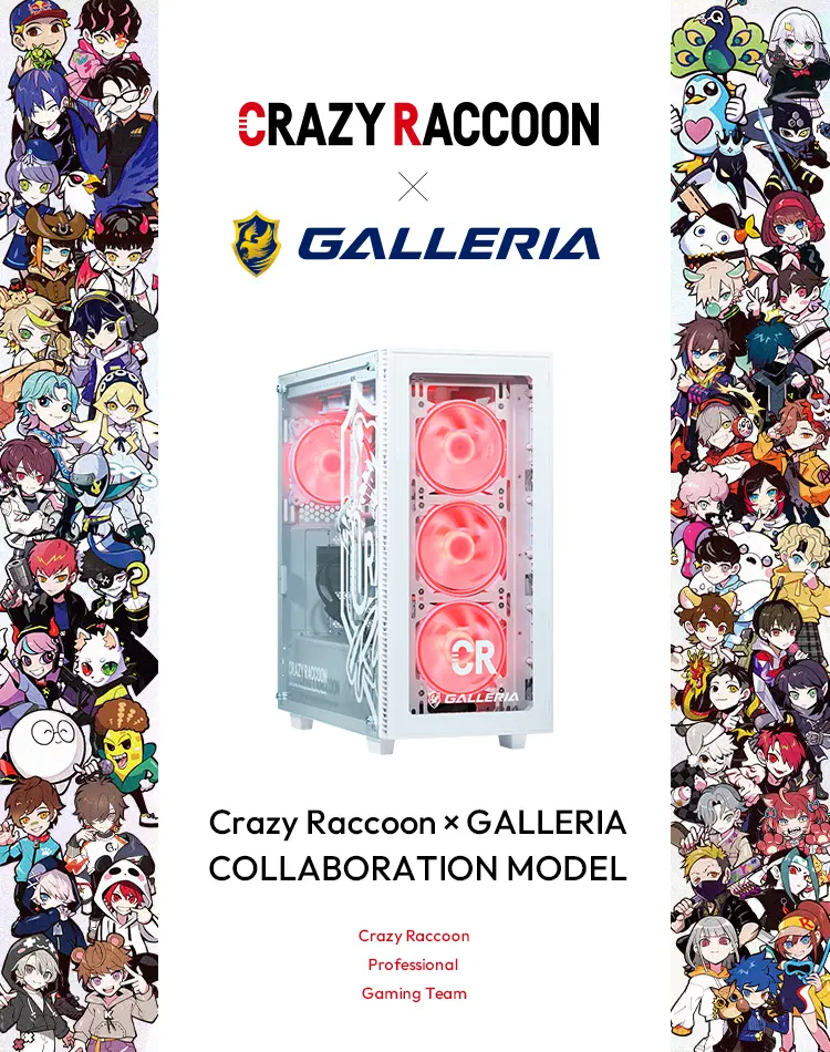 crazyraccoonコラボモデル