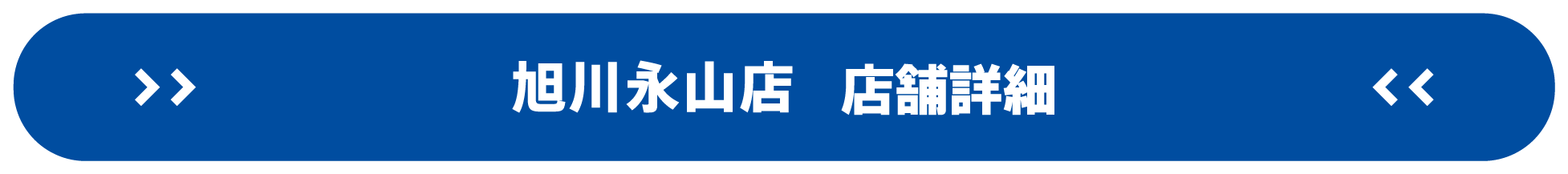 ドスパラ旭川永山店 店舗詳細