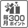 毎月300ポイント