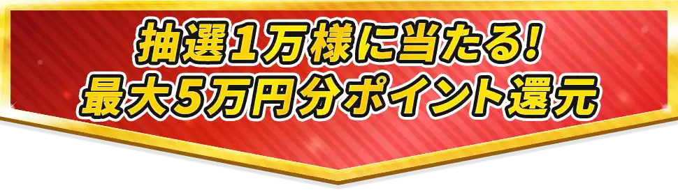 抽選1万様に当たる!最大5万円分pt還元