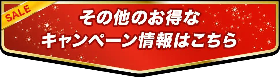 その他のお得なキャンペーン情報はこちら