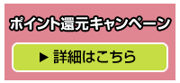 DX10ポイント10倍キャンペーン