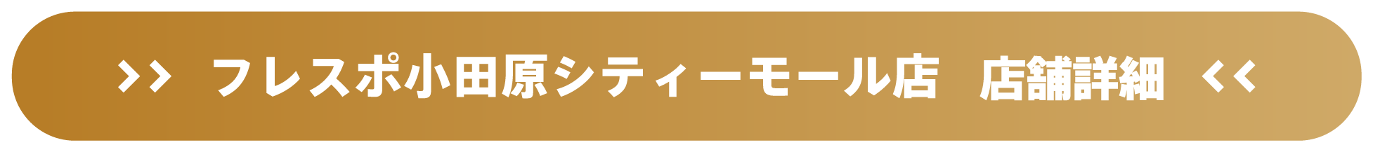 ドスパラフレスポ小田原シティーモール店 店舗詳細