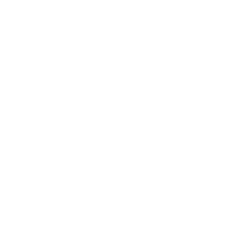 トップに戻る