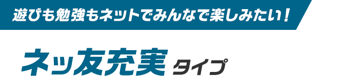 遊びも勉強もネットでみんなで楽しみたい！ ネッ友充実タイプ