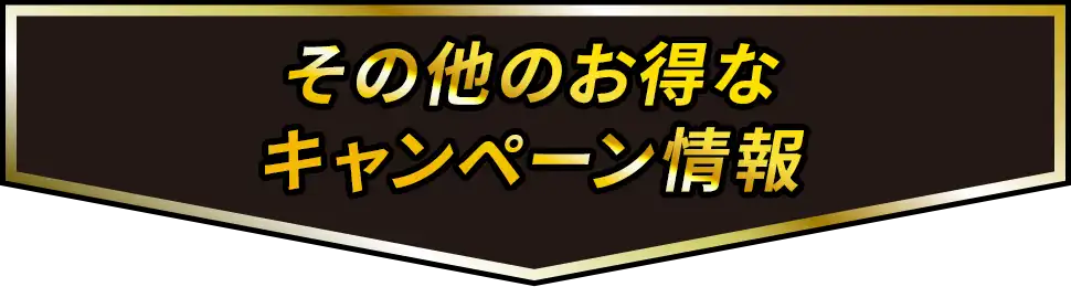 その他のお得なキャンペーン情報