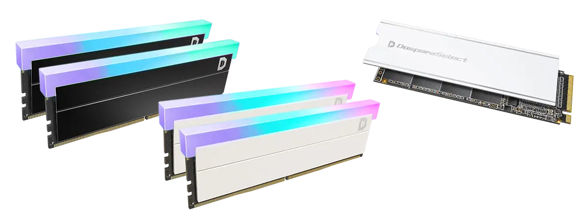 ドスパラセレクトメモリSSD
