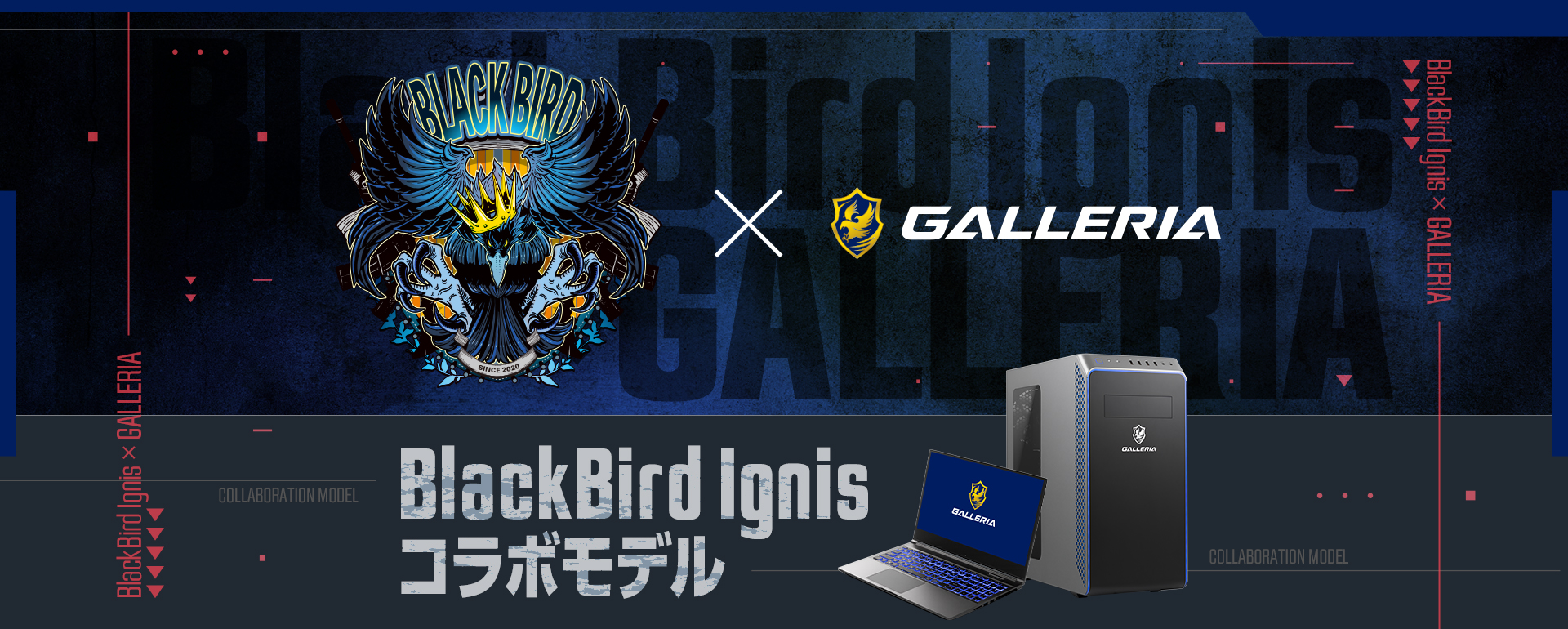 BlackBird Ignisコラボモデル