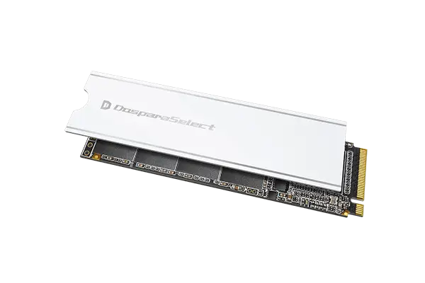 ドスパラセレクトSSD