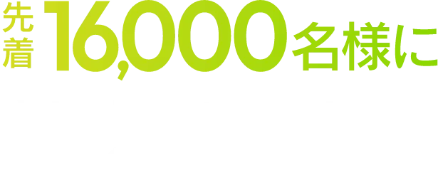 先着16,000名様にオリジナルUSBメモリがついてくる！