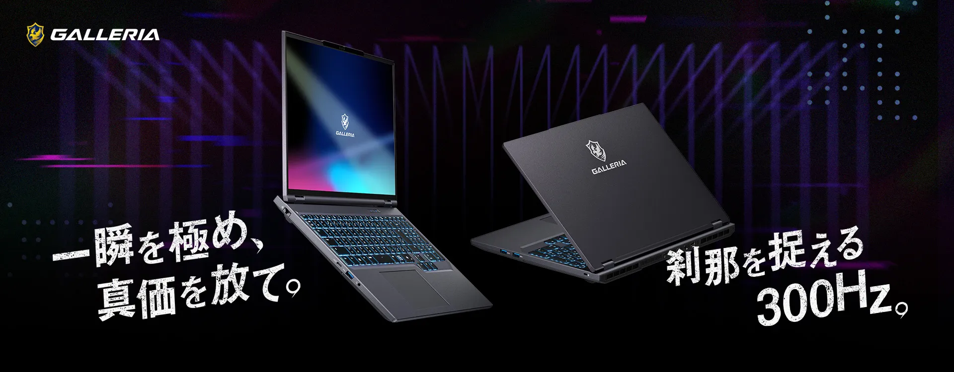 一瞬を極め、真価を放て。刹那を捉える300Hz。