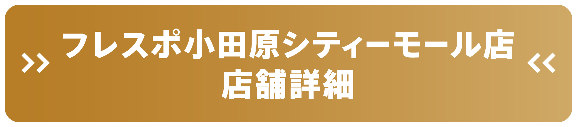 ドスパラフレスポ小田原シティーモール店 店舗詳細