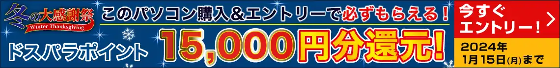 冬の大感謝祭15000