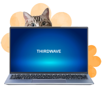 パソコン×猫