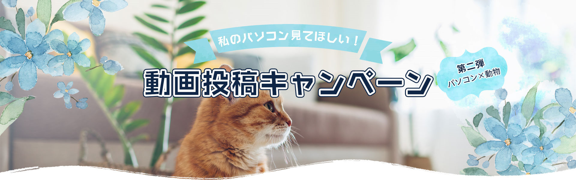 私のパソコン見てほしい!YouTube動画投稿キャンペーン第二弾