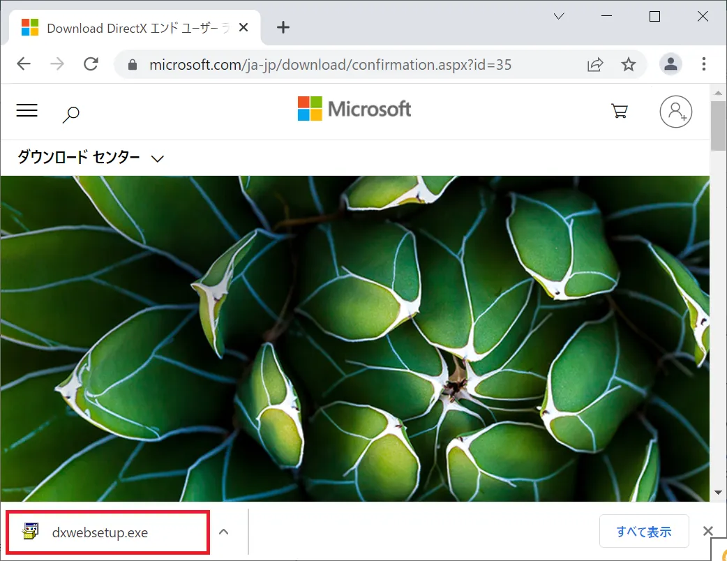 ダウンロードが完了したら「dxwebsetup.exe」のセットアップファイルをクリックし実行します。