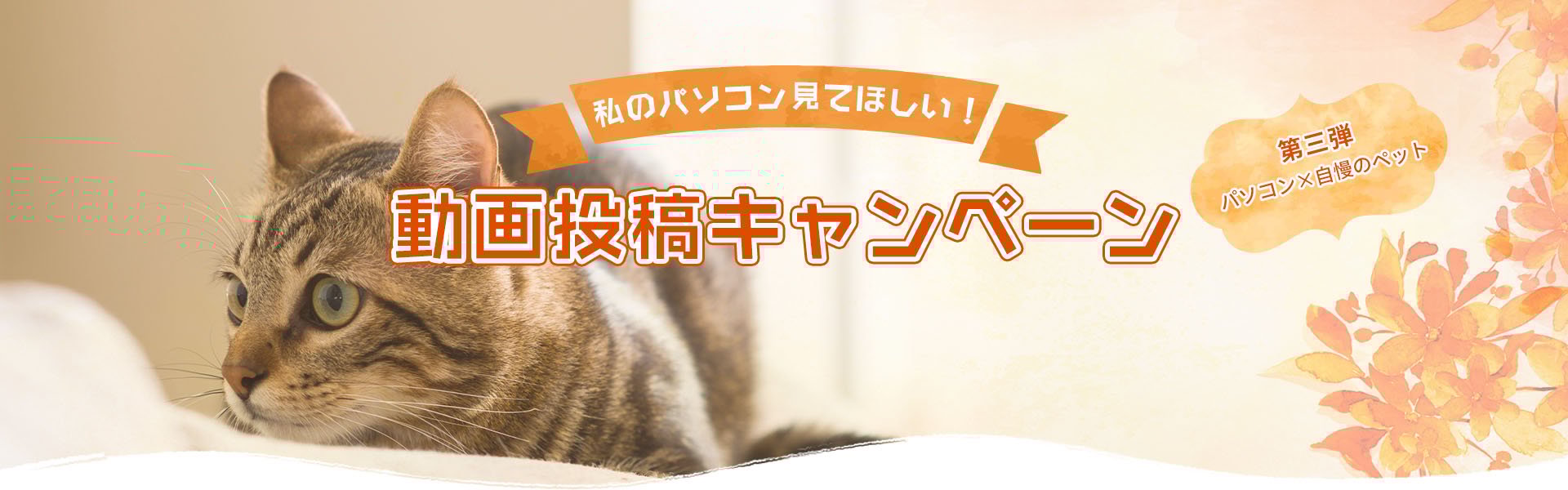 私のパソコン見てほしい!YouTube動画投稿キャンペーン第三弾