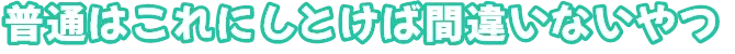 普通はこれにとけば間違いないやつ