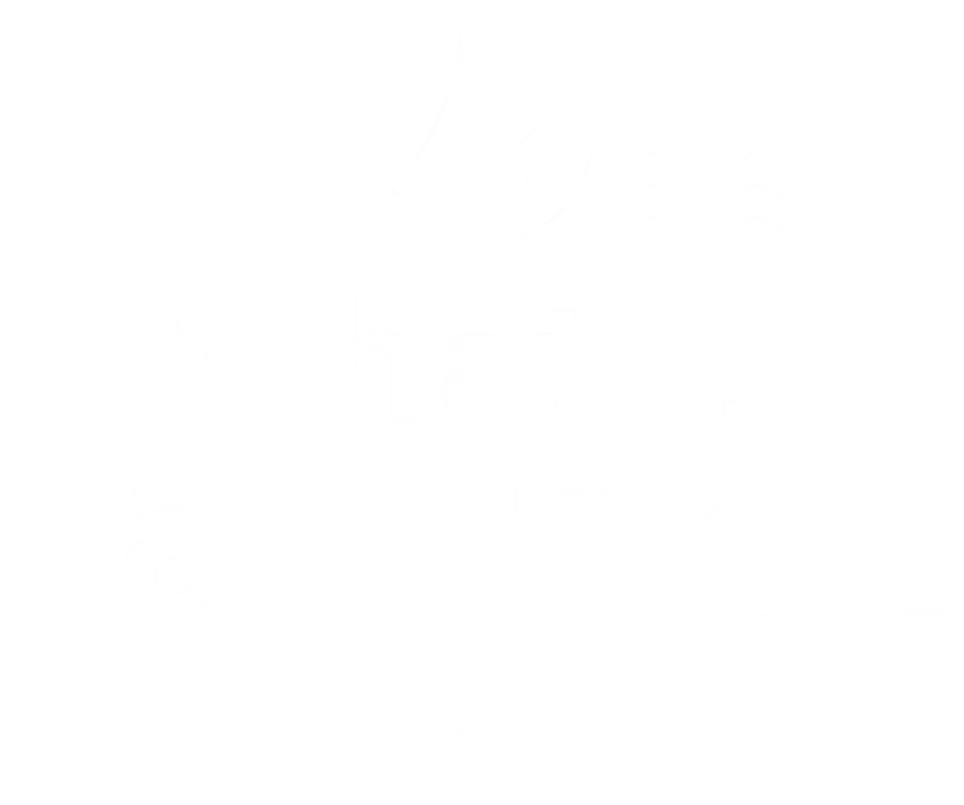 raytrekとは?