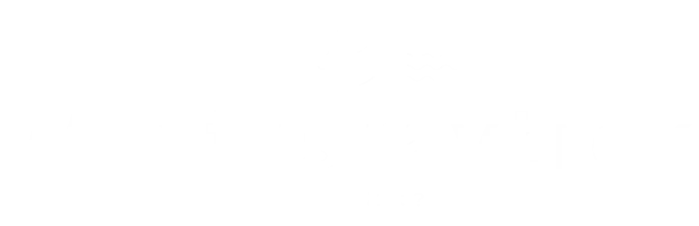 raytrekとは?