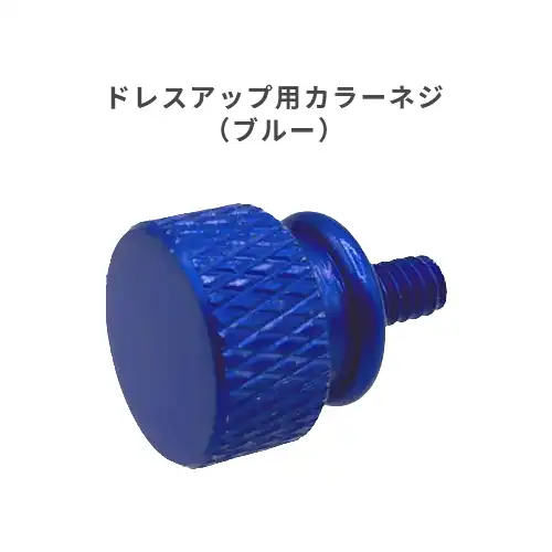 ドレスアップ用カラーネジ（ブルー）