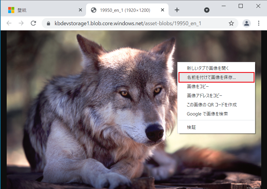 クリックするとブラウザの別のタブで画像が表示されますので、画像の上で右クリックして「名前を付けて画像を保存」をクリックします。