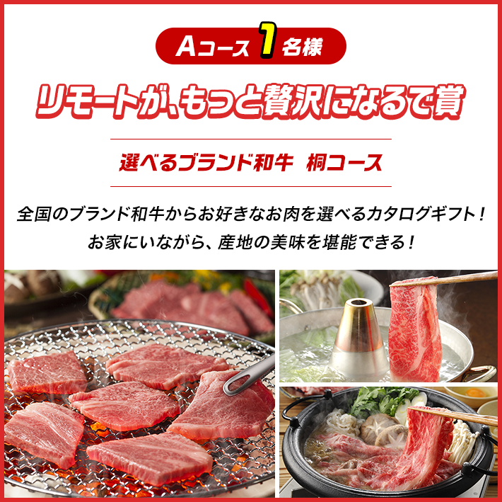 A リモートがもっと贅沢になるで賞