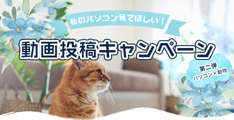 私のパソコン見てほしい!YouTube動画投稿キャンペーン第二弾